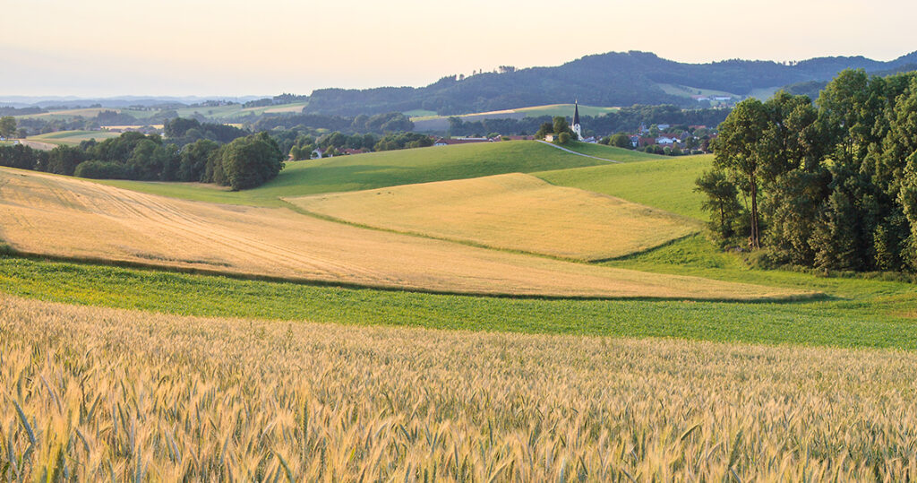 Hartjes-Umwelt-Über-uns-Soziale Verantwortung-Pramet